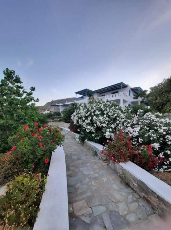 Medusa Accommodation Livadakia Екстериор снимка